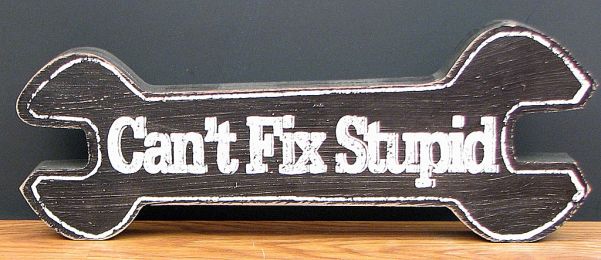 ""Can't Fix Stupid"" Tabletop Wood Sign